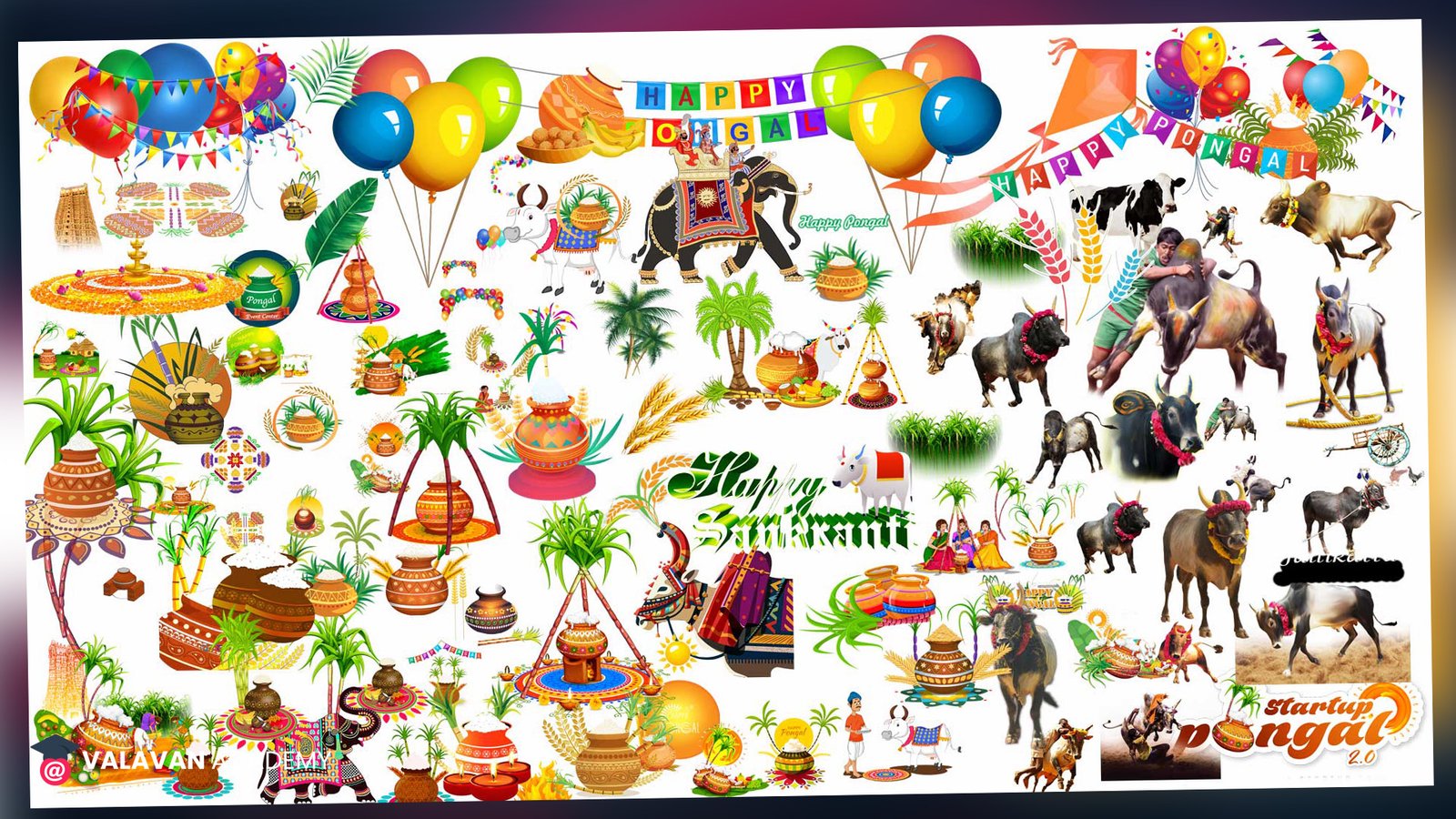 PSD Pongal Banner Free Download