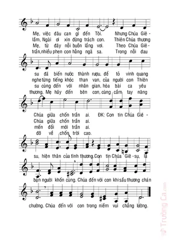 Tìm Hiểu Bài Hát Hoa Nở Miền Cana – Lời Hát, Nghe Nhạc Và Các Phiên Bản Cover