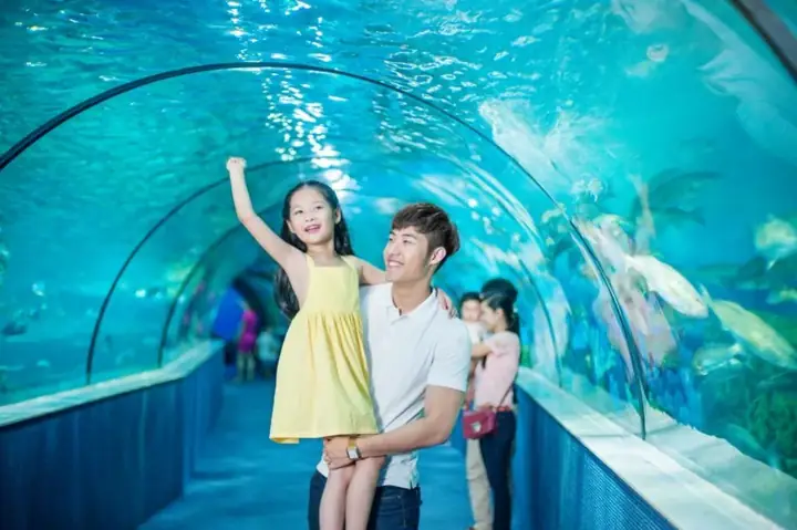 Tổng Hợp Mẫu Lời Cảm Ơn Sau Tiệc Cưới Hay, Chân Thành Cho Cô Dâu, Chú Rể Và Gia Đình