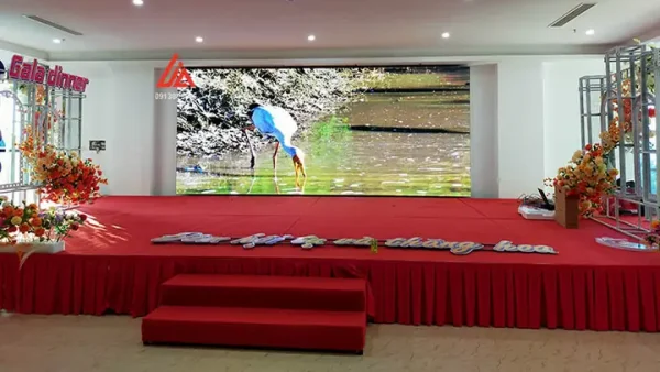 Chọn Màn Hình LED Tiệc Cưới Phù Hợp: Loại, Kích Thước, Giá Và Cách Lắp Đặt