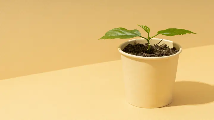 Tổng Hợp 20+ Quà Tặng Khách Mời Đám Cưới Độc Đáo, Ý Nghĩa Hot Trend 2025
