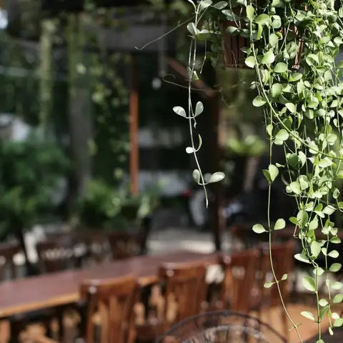 Gợi Ý 5 Không Gian Tiệc Cưới Sài Gòn Chic Siêu Lãng Mạn Tại TP.HCM